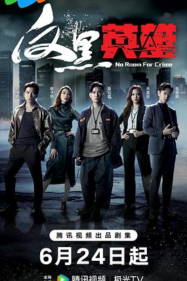 反黑英雄国语 第11集