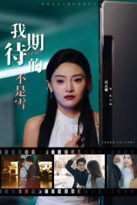 我期待的不是雪 第05集